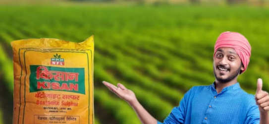 किसानों को महंगे उर्वरकों की चिंता करने की आवश्यकता नहीं है; सरकार खरीफ मौसम के लिए इतनी सब्सिडी प्रदान करेगी।